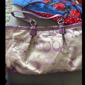 Coach Signature Optic Handbag